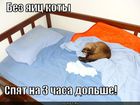 https://lolkot.ru/2011/01/20/bez-yaits/