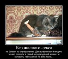 https://lolkot.ru/2012/01/14/bezopasnogo-seksa-ne-byvayet/