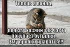 https://lolkot.ru/2013/03/27/birofil/