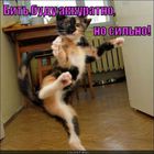https://lolkot.ru/2012/07/18/bit-budu-akkuratno-no-silno/