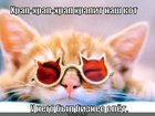 https://lolkot.ru/2012/07/11/biznes-slyot/