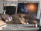 https://lolkot.ru/2012/08/21/blokirovka-klaviatury-2/