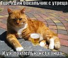 https://lolkot.ru/2012/04/04/bokalchik-s-utretsa/