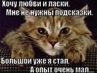 https://lolkot.ru/2013/02/24/bolshaya-fedora-no/
