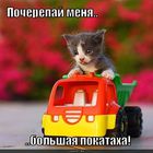 https://lolkot.ru/2010/07/06/bolshaya-pokataha/