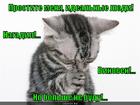 https://lolkot.ru/2012/10/29/bolshe-ne-budu-4/