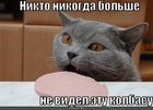 https://lolkot.ru/2010/06/11/bolshe-yeyo-nikto-ne-videl/