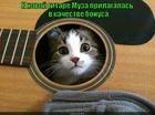 https://lolkot.ru/2015/08/27/bonus-muzykalnyy/
