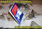 https://lolkot.ru/2012/01/11/borba-s-holesterinom/