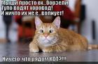 https://lolkot.ru/2014/03/17/borzyye-myshi/