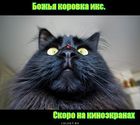 https://lolkot.ru/2011/06/13/bozhya-korovka-iks/