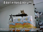 https://lolkot.ru/2011/01/30/brakovannyy-kitiket/