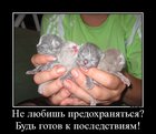 https://lolkot.ru/2012/01/08/bud-gotov-k-posledstviyam/