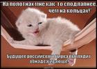https://lolkot.ru/2012/09/02/buduscheye-rossiyskogo-tsirka/
