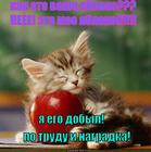 https://lolkot.ru/2013/09/07/buk/
