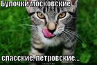 https://lolkot.ru/2011/04/23/bulochki-moskovskiye-2/