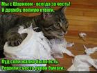 https://lolkot.ru/2017/02/14/bumazhnaya-druzhba/