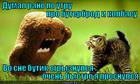 https://lolkot.ru/2012/11/28/buterbrod-rugayetsya/