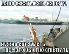 https://lolkot.ru/2011/12/05/bystro-spryatat/