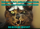 https://lolkot.ru/2012/06/13/byt-dobrym/