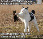 https://lolkot.ru/2013/12/27/chapayev-i-vsyo/