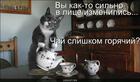 https://lolkot.ru/2010/07/06/chay-goryachiy/