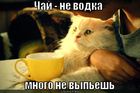 https://lolkot.ru/2011/12/07/chay-ne-vodka/