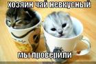 https://lolkot.ru/2010/10/01/chay-nevkusnyy/