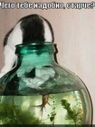 https://lolkot.ru/2012/08/15/chego-tebe-nadobno/