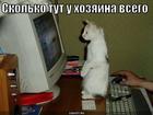 https://lolkot.ru/2015/09/12/chego-tut-tolko-net/