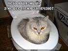 https://lolkot.ru/2011/03/12/chego-ya-gryaznyy-a-ne-vse-menya-zamechayut/