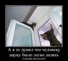 https://lolkot.ru/2012/08/18/chelovek-pauk/