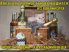 https://lolkot.ru/2011/11/27/cherez-21-den/