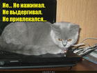 https://lolkot.ru/2016/01/21/chist-pred-vami/
