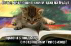 https://lolkot.ru/2012/11/28/chitayuschiye-koty/