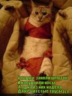 https://lolkot.ru/2012/01/06/chitstyye-tpysy/