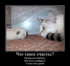 https://lolkot.ru/2012/01/14/chto-takoye-schaste/