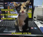 https://lolkot.ru/2012/04/25/chto-ty-ischesh/