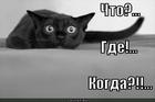 https://lolkot.ru/2012/10/23/chto-gde-kogda/