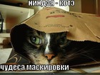 https://lolkot.ru/2010/08/31/chudesa-maskirovki/
