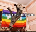 https://lolkot.ru/2012/04/25/chudesnyy-den/