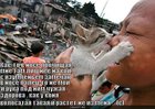 https://lolkot.ru/2011/01/15/chuzhaya-ruka/