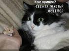 https://lolkot.ru/2011/05/06/chyo-prines/