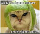 https://lolkot.ru/2010/08/10/chyornyy-spisok/