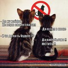 https://lolkot.ru/2011/11/05/da-nu-nayfig/