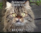https://lolkot.ru/2011/03/26/da-ya-tebya/