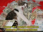 https://lolkot.ru/2012/06/07/da-zarplate-v-meshkah/