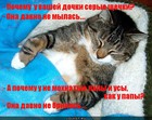 https://lolkot.ru/2012/08/10/davno-ne-brilas/