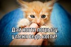 https://lolkot.ru/2011/11/06/day-nogti/