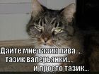 https://lolkot.ru/2011/06/14/dayte-mne-tazik/
